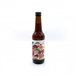 Polder Mosaîc IPA, bière ambrée 33cl - Beertastic