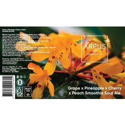 Ārpus Grape x Pineapple x Cherry x Peach Smoothie Sour Ale - Ārpus Brewing