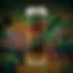 Phantom Brewing Co. Don