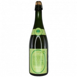 Tilquin Oude Groseille a Maquereau Verte Lambic 375ml - The Beer Cellar