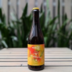 Brasserie Dieu du Ciel! Symbiose #31