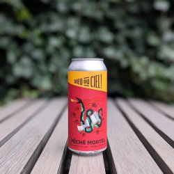 Dieu Du Ciel Péché Mortel