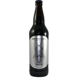 Central Waters Brewing Company Twenty Five