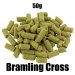 Bramling Cross Hops - T90 Pellet - 50g 