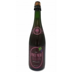 Tilquin Oude Pinot Noir 2019-2020 75cl - geuzeshop.com