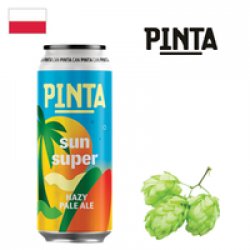 Pinta Sun Super 500ml CAN - Drink Online - Drink Shop