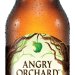 Angry Orchard Green Apple Hard Cider 2412 oz bottles 