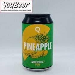 Evoqe Sour! n° 7 33cl - YouBeer