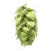 Lúpulo Horizon Hopsteiner x 1 Kg 