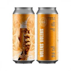 Dogma Nolen Volens American Pils - CervejaBox