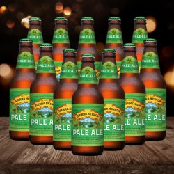 Sierra Nevada American Pale Ale 355ml Bottles - 5.0% ABV (12 Pack) - Beerhunter