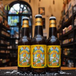 Minerva San Cristobal