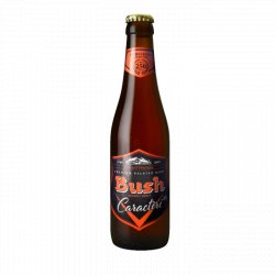 Dubuisson Bush 12% 24x33cl - Beercrush