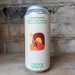 Everywhere Changing The Possible NEIPA 7% (473ml) 