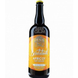 Council Béatitude: Apricot Tart Saison 75cl - Beergium