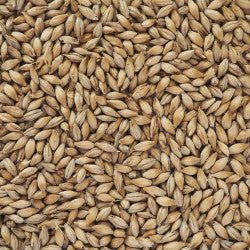 Weyermann Abbey - 1Kg - BrewCraft