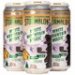 Stormalong Cider White Mountain Magic Winter Cider 4pk 16oz Cans Stormalong Cider White Mountain Magic Winter Cider 4pk 16oz Cans
