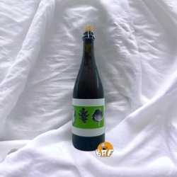 Shiso Vert - BAF - Bière Artisanale Française