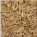 Cáscara de Arroz (Rice Hulls o Rice Husk) 