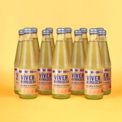 Viver KOMBUCHA JENGIBRE & CÚRCUMA - Viver Kombucha