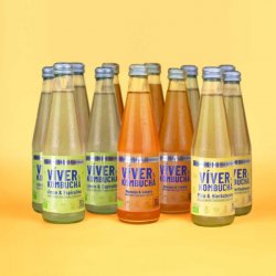 Viver KOMBUCHA PACK VITAMINA C - Viver Kombucha