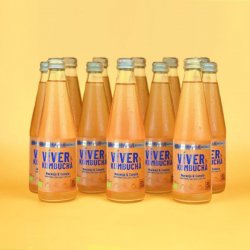 Viver KOMBUCHA NARANJA & CANELA - Viver Kombucha