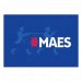 Maes pils 5,2% (Fût de 30L) 