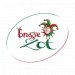 Brugse Zot Double 7.5% (Fût de 15L) 