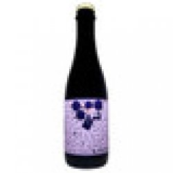 Mikkeller Spontan Cassis Sour Ale - Holiday Wine Cellar