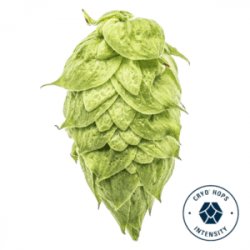 Lúpulo Ekuanot Cryo Hops x 1 Kg  Yakima Chiefs - Cibart