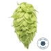 Lúpulo Ekuanot Cryo Hops x 1 Kg Yakima Chiefs Lúpulo Ekuanot Cryo Hops x 1 Kg Yakima Chiefs