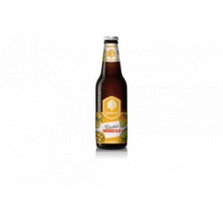 Lindeboom Lindeboom Radler Mango 0.0