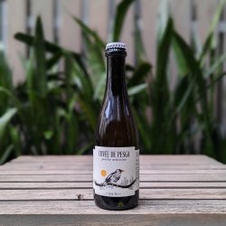 Ca’ del Brado Cuvée de Pesga Ca’ del Brado Cuvée de Pesga