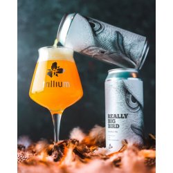 Trillium Brewing Company- Really Big Bird (Double IPA) - Windsor Bottle Shop