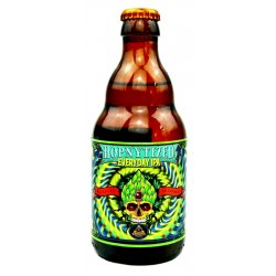 Enigma  Hopnytized Everyday IPA