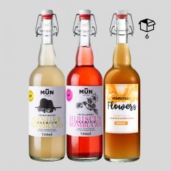 STARTER PACK 750  6 botellas 750 ml - Mun Ferments