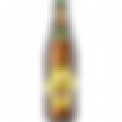 Wiener Original - 50cl - Brewrise
