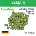 LUPULO MAGNUM X 1 KG 