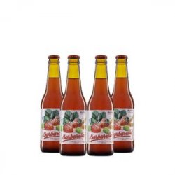 Pack 4 s Barbarella Fruitbier Morango 355ml - CervejaBox