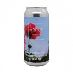 Arpus Mango Redcurrant Blackberry 5alc 44cl - Dcervezas