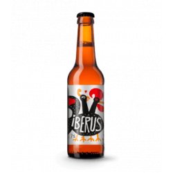 Domus Iberus, 6 botellas de 33 cl - Bigcrafters - Estrella Galicia