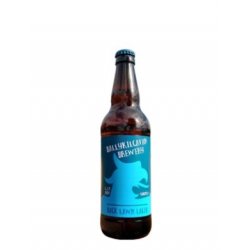 Ballykilcavan Back Lawn Lager