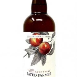 Trillium Brewing Company  Fated Farmer Nectarine 750ml  (6.6%) - Hemelvaart Bier Café