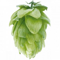 Slowenien Steirer Golding (Celeia) Pellets Typ 90 - Hopsteiner