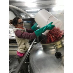 Ilkley Brewery Co. Siberia Rhubarb Saison Ilkley Brewery Co. Siberia Rhubarb Saison