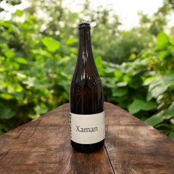 META XAMAN SAISON BOTELLAS 750 ml - Hidden Beers