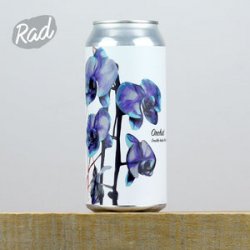 Fidens Orchid - Radbeer