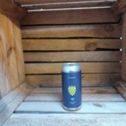 Folkingebrew Around the World