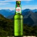 Grolsch Premium Pilsner Bier 0,3l Grolsch Premium Pilsner Bier 0,3l