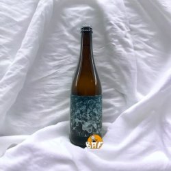 Berliner Weisse #1 - BAF - Bière Artisanale Française